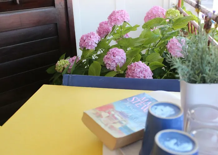 Marta 招待所 马卡尔斯卡